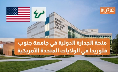 منحة الجدارة الدولية في جامعة جنوب فلوريدا في الولايات المتحدة الأمريكية