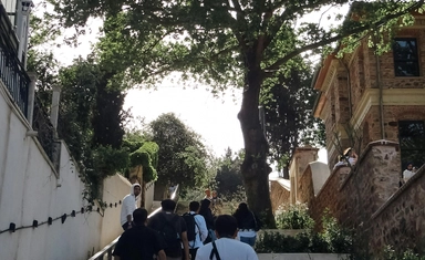فرصة تدريب في الأمم المتحدة بمصر 2026 للطلاب الخريجين