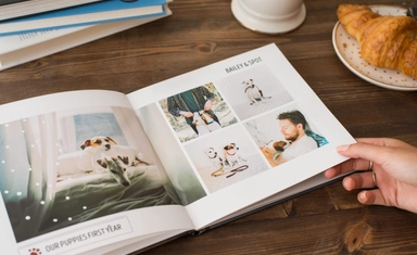 مسابقة كتاب روبرى 2026 في المملكة المتحدة