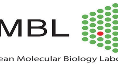 Funded Postdoctoral Fellowships at EMBL laboratories in Europe