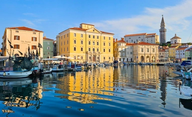 فرصة دراسة في أوروبا بجامعة EMUNI  ماجستير ودكتوراه مع منح جزئية