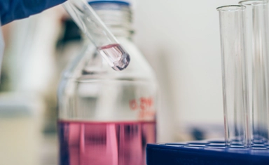 International Research Award in Belgium 2027 in Infection & Immunity