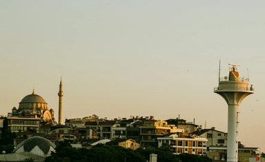 Field Team Leader with the International Organization for Migration (IOM) in Türkiye 2026