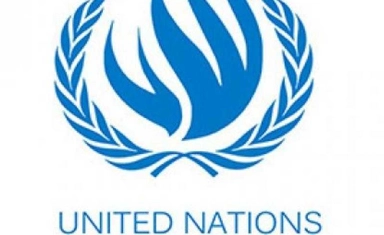 زمالة المفوضية السامية لحقوق الإنسان