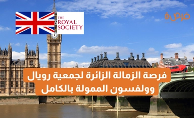 Royal Society Wolfson Visiting Fellowship 2025