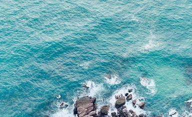 فرصة للطلاب: مسابقة Ocean Awareness 2026 بجوائز مالية