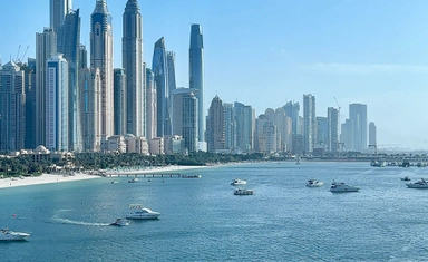 برنامج Y4S لقادة المستقبل في الاستدامة والعمل المناخي