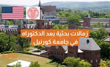 زمالات بحثية بعد الدكتوراه في مبادرة الحياة الرقمية