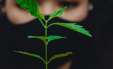مسابقة The Earth Prize 2027 للطلاب من جميع أنحاء العالم بجوائز تتجاوز 100 ألف دولار