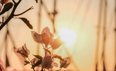 International Opportunity for Photographers to Win Cash Prizes of up to $3,000
