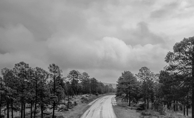 مسابقة Black & White Photo Awards 2026 للتصوير الفوتوغرافي بجوائز تتجاوز 5500 يورو