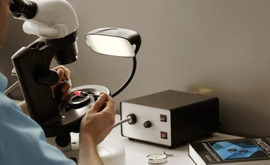 Fully Funded Bachelor's Scholarship in USA 2026