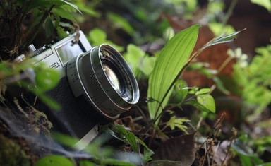 مسابقة WARE الدولية للشعر المفتوح 2026 مع جوائز مالية للشعراء