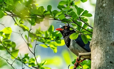 مسابقة جوائز التصوير الفوتوغرافي للطبيعة في العالم 2027