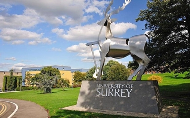 Computing and Engineering Research PhD Scholarship at University of Surrey in UK