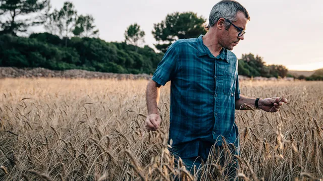 دورة مجانية عبر الإنترنت مقدمة من EIT Food بعنوان ثورة الزراعة المتجددة