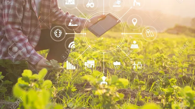دورة مجانية عبر الإنترنت من EIT Food: التكنولوجيا وتغيير وجه السلاسل الغذائية