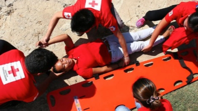 Online Training Course: First Aid for Children