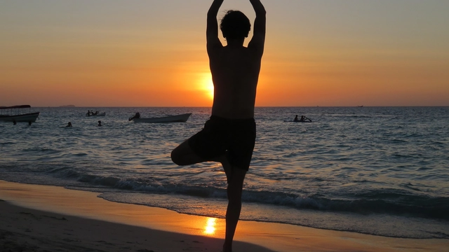 Free Online Course offered by Alison: Yoga Exercises