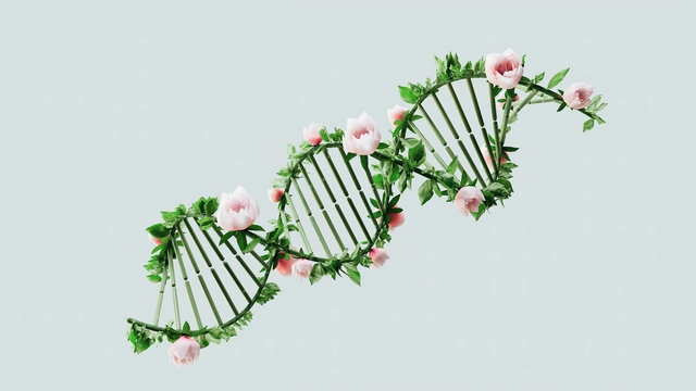 Free Online Course by Coursera: Introduction to Genetics and Evolution