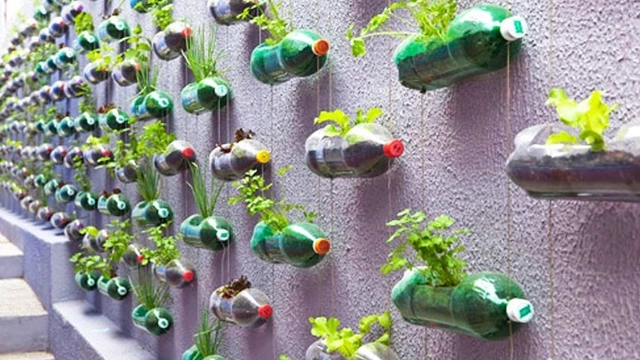 Free Online Course presented by Future Learn: Upcycling