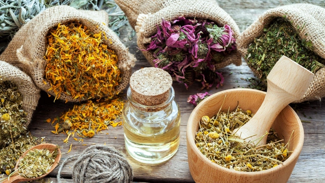 Online Course from Udemy: Herbalism