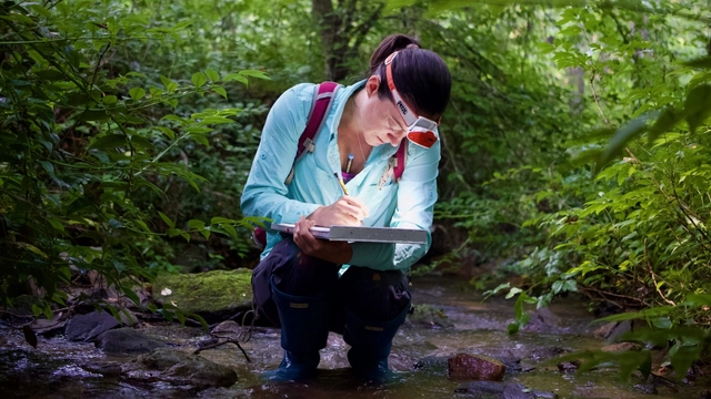 Online Course on Alison: Introduction to Applied Ecology