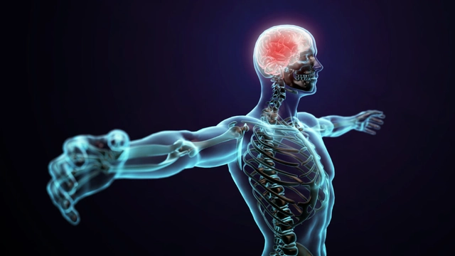 Free Online Course by Coursera: Introductory Human Physiology