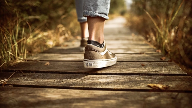 Online Course from Harvard University: Walking for Health