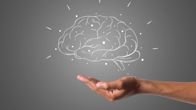 Free Online Course from Edx: The Multi-scale brain