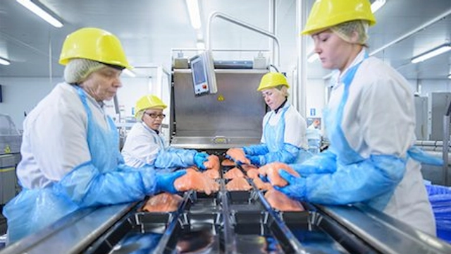 Free Online Course by EIT Food: Understanding Food Processing Technologies