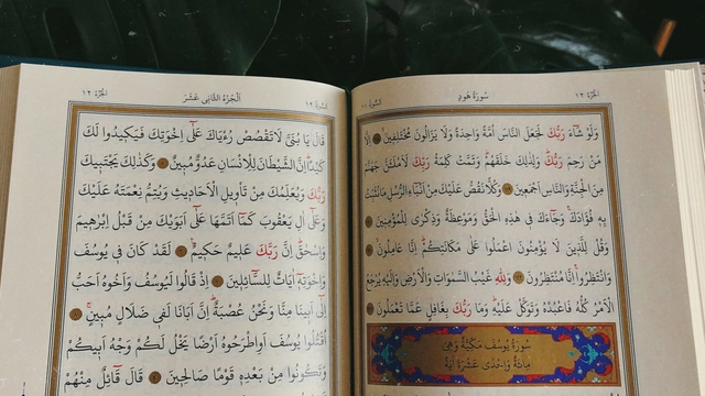 دورة أساسيات قواعد النحو من البداية إلى الاحتراف معتمدة بشهادة مجانية من منصة معارف