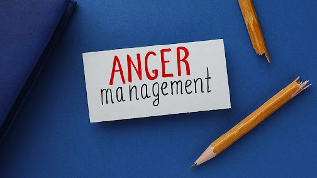 Online Course from Udemy Entitled; Professional Anger & Aggression Counselling Diploma