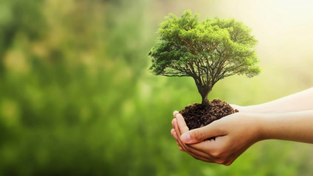 Free Online Course from Future Learn: Gardening for Beginners: The Basics and Beyond