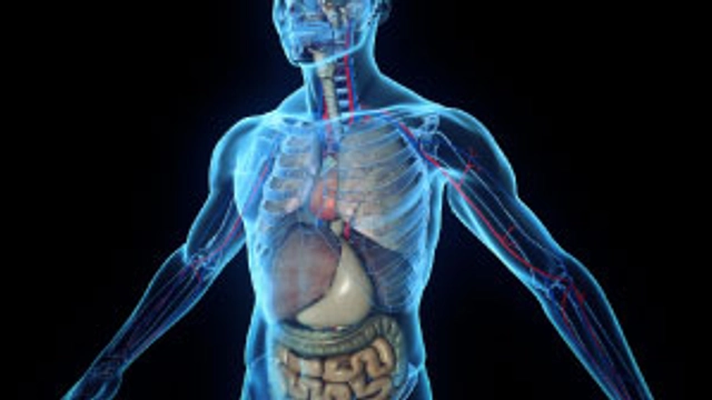 Anatomy Specialization offered by Coursera