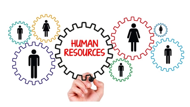 Free Online Course from Edx: Managing Human Resources in the Hospitality and Tourism Industry