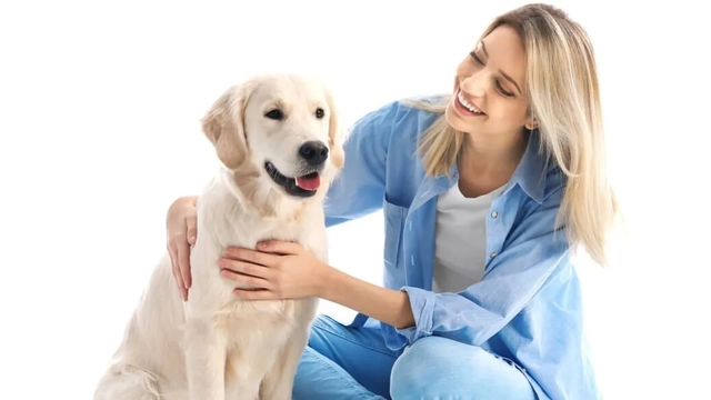 Pet Care Certification Course (Bundle)