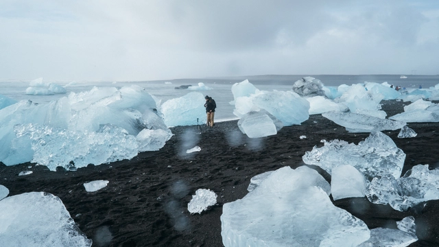 Free Online Course offered by Alison: Introduction to Environmental Issues