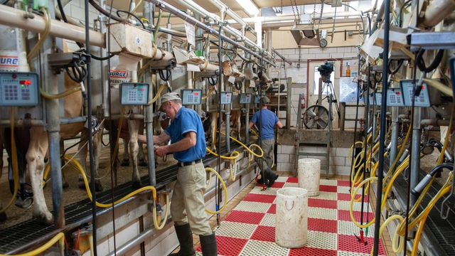 Free Online Course by Coursera Explains Dairy Production and Management