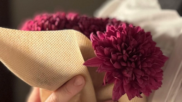 Online Course in Coping Skills for Emotional Resilience