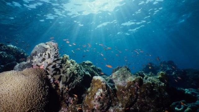 Free Online Course offered by FutureLearn on Exploring Oceans