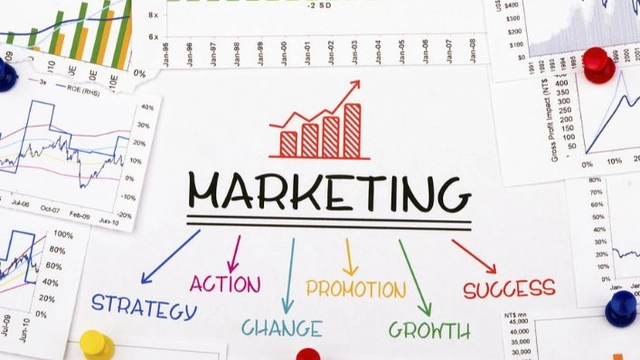 دورة عبر الإنترنت في أساسيات التسويق مع شهادة