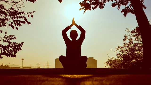 Online Course by Udemy on Mindfulness Meditation