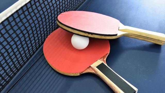 Online Course by Udemy: Table tennis for beginners