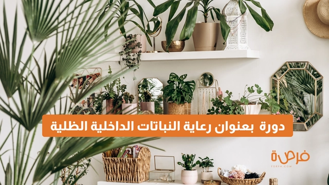 دورة أونلاين مقدمة من منصة دورات بعنوان رعاية النباتات الداخلية الظلية