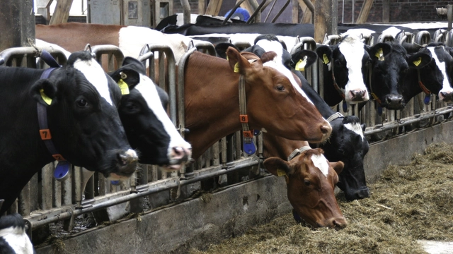 Online Course on Animal Feed Production: Feed Quality By EIT Food