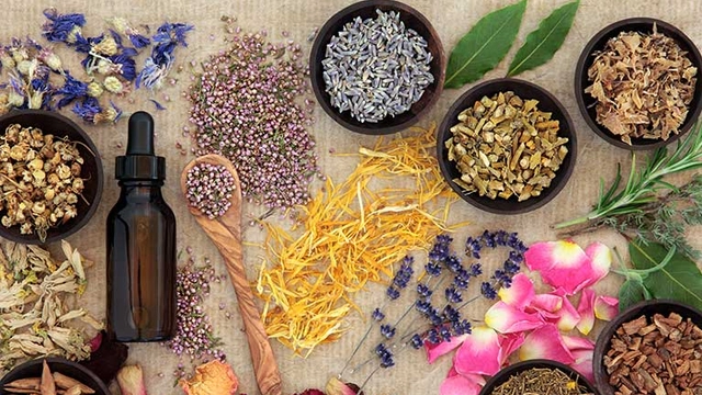 Online Course from Udemy: Herbalism For Everyone