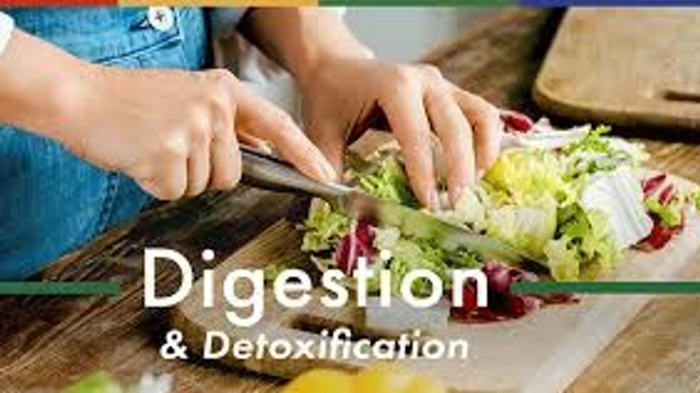 Free Online Course from Oxford Home Study Centre Titled: Digestion in Stomach and Detoxification