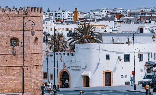 Mental Health Consultant Job Opportunity with IOM in Tunisia