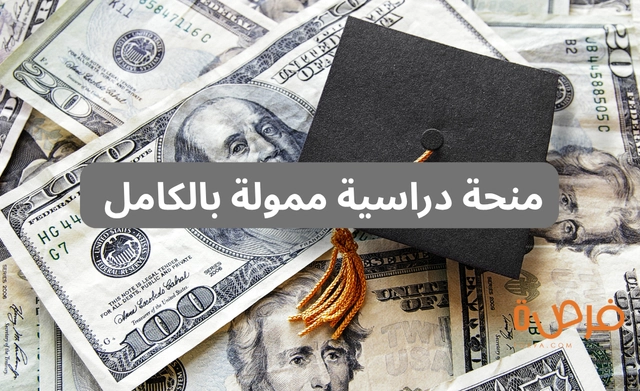 DAAD Helmut Schmidt Programme 2026 | Fully Funded